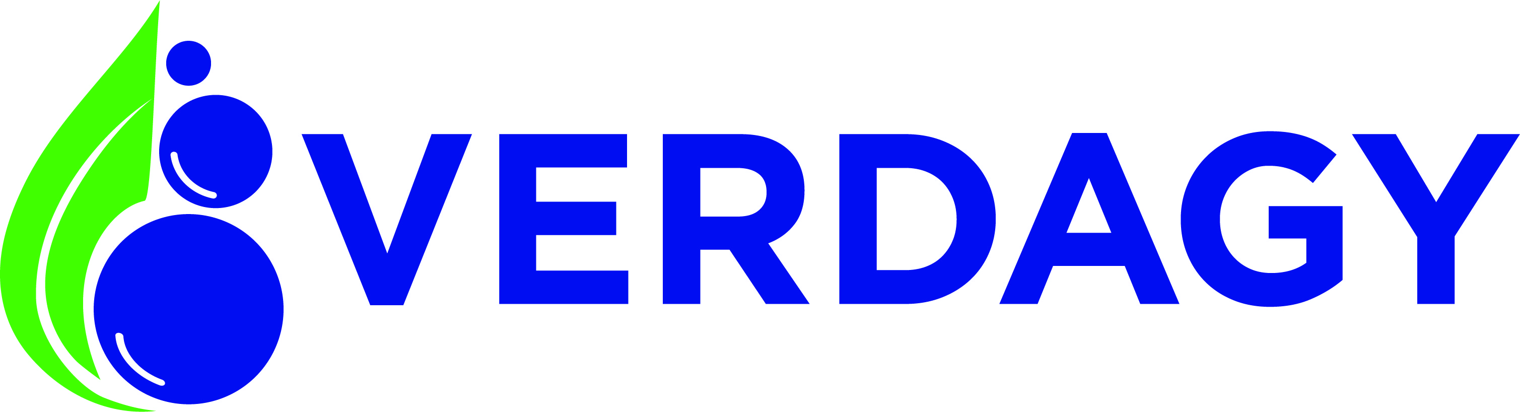 Verdagy Logo